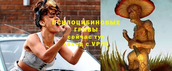 a pvp Протвино