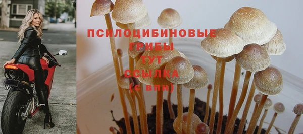 тгк Арсеньев