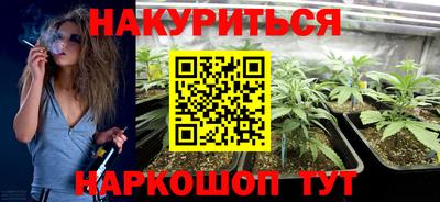 прущие грибы Краснодар