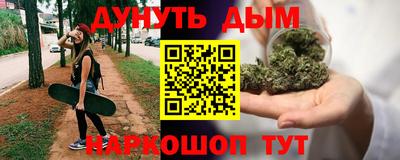 прущие грибы Краснодар