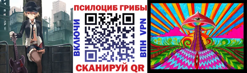 MEGA зеркало Сухой Лог Галлюциногенные грибы мицелий
